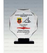 Kristal Plaket ŞLT052